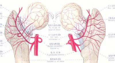 儿童股骨头坏死有哪些早期症状？